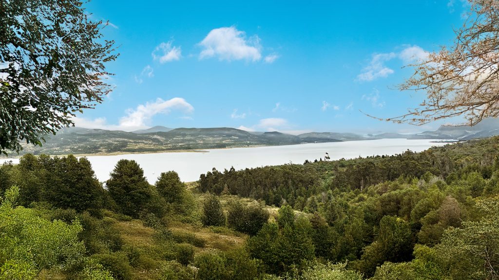 Vista panorámica del lago rodeado de bosque y montañas, entorno natural de Casa de Terra
