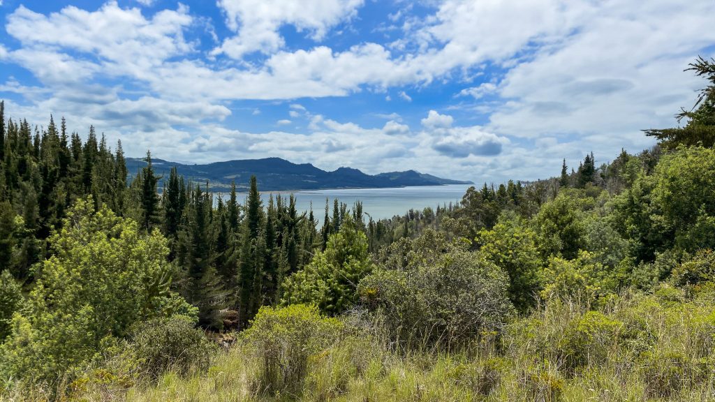 Bosque natural con vista al lago y montañas, entorno exclusivo de Casa de Terra